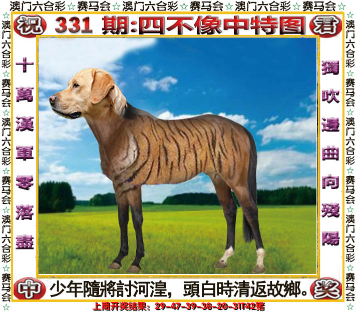 2024331期四不像中特图