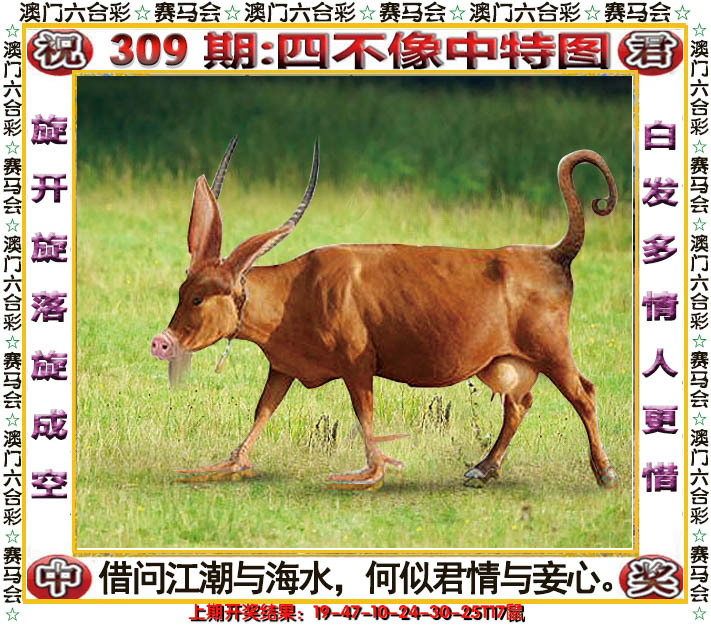 2024309期四不像中特图