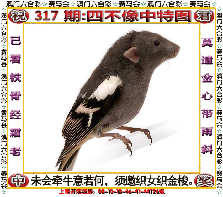 2024317期四不像中特图