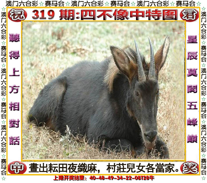 2024319期四不像中特图