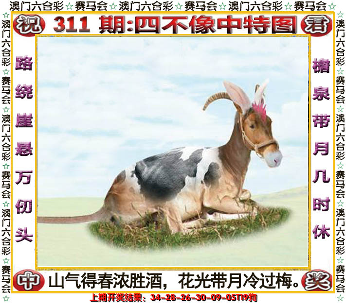 2024311期四不像中特图
