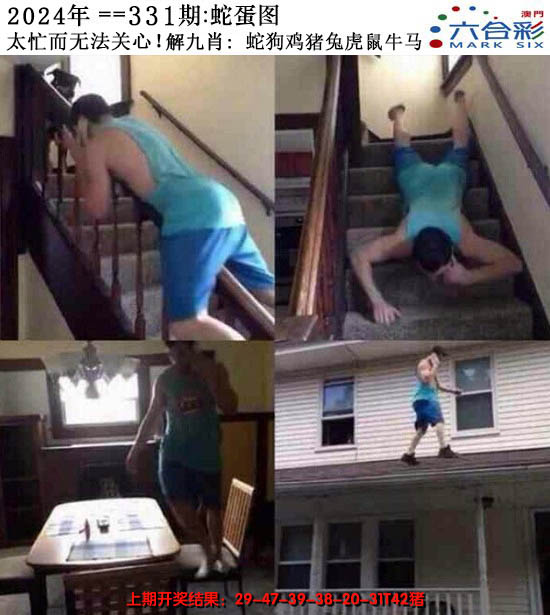 2024331期正版蛇蛋图
