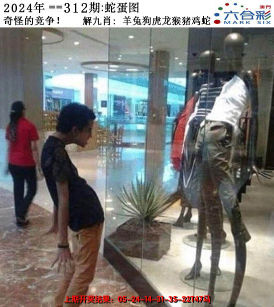2024312期正版蛇蛋图