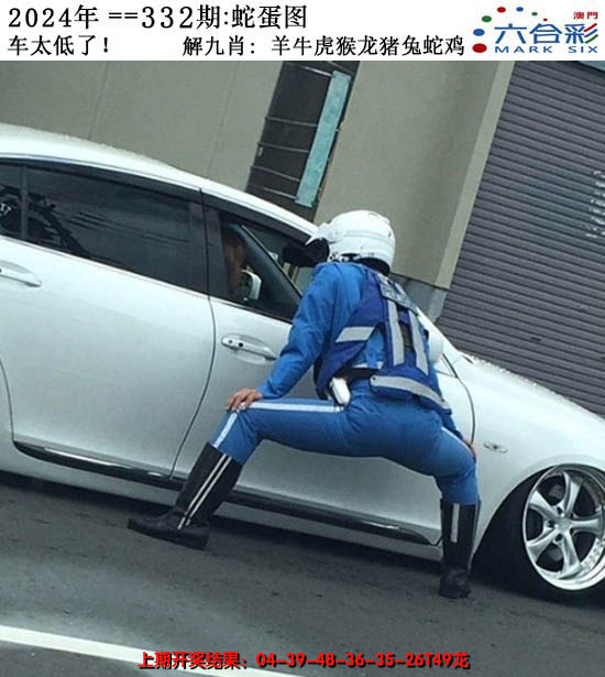 2024332期正版蛇蛋图