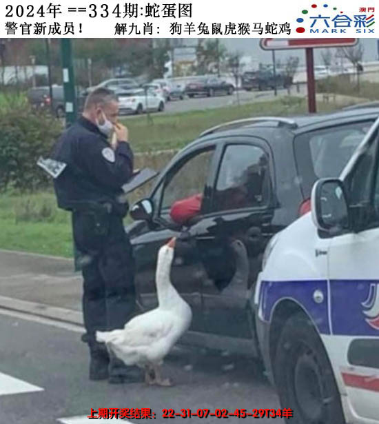 2024334期正版蛇蛋图