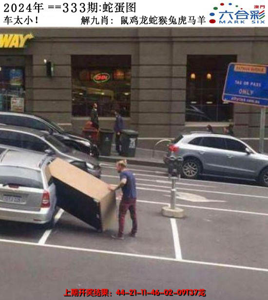 2024333期正版蛇蛋图