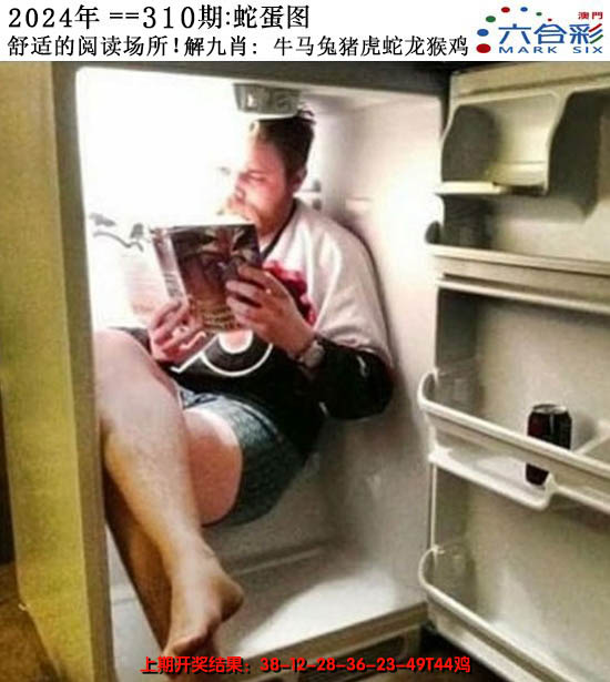 2024310期正版蛇蛋图