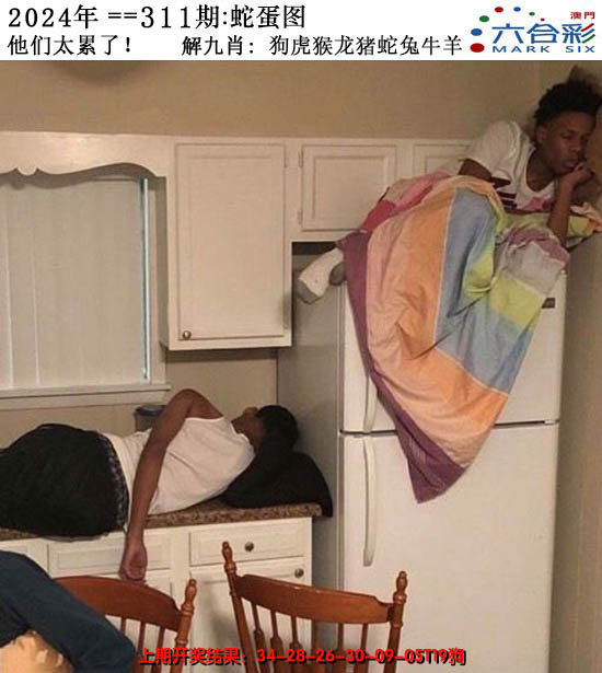 2024311期正版蛇蛋图