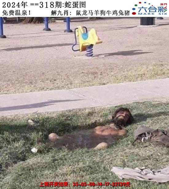 2024318期正版蛇蛋图