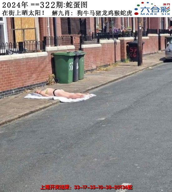 2024322期正版蛇蛋图