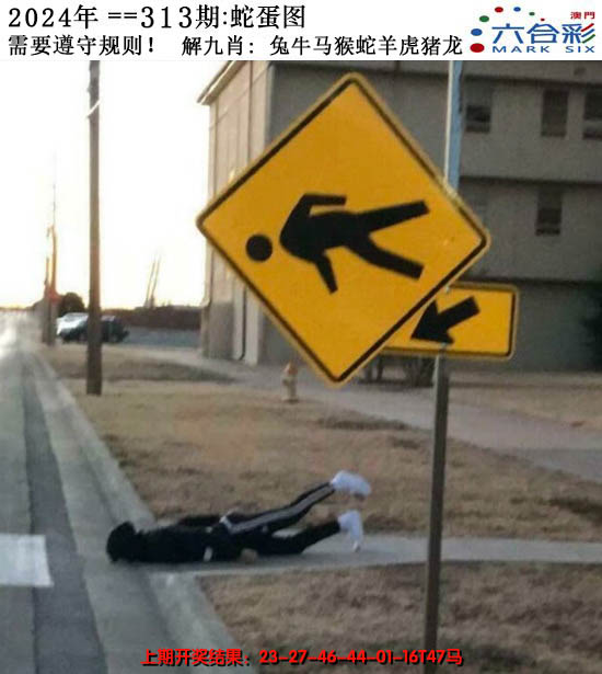 2024313期正版蛇蛋图