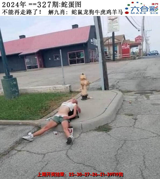 2024327期正版蛇蛋图