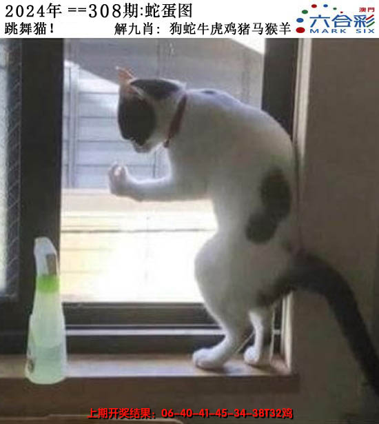 2024308期正版蛇蛋图
