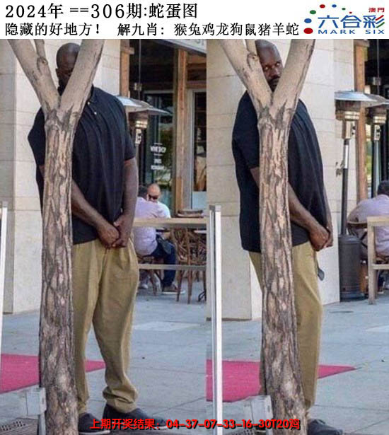 2024306期正版蛇蛋图