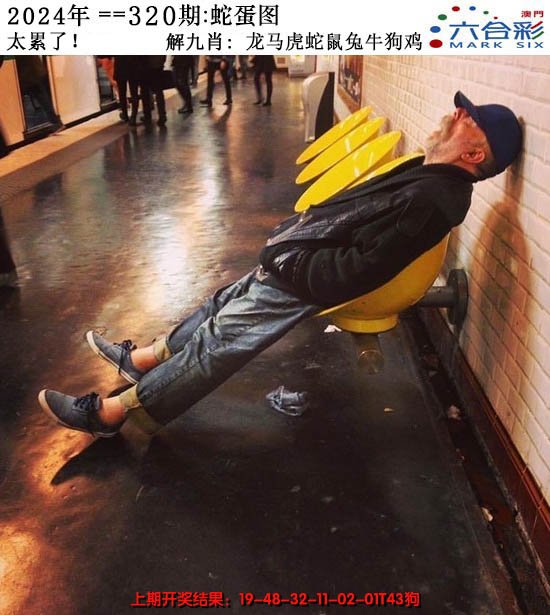 2024320期正版蛇蛋图