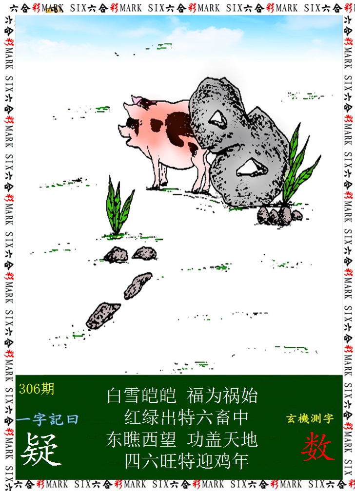2024306期悟入其图