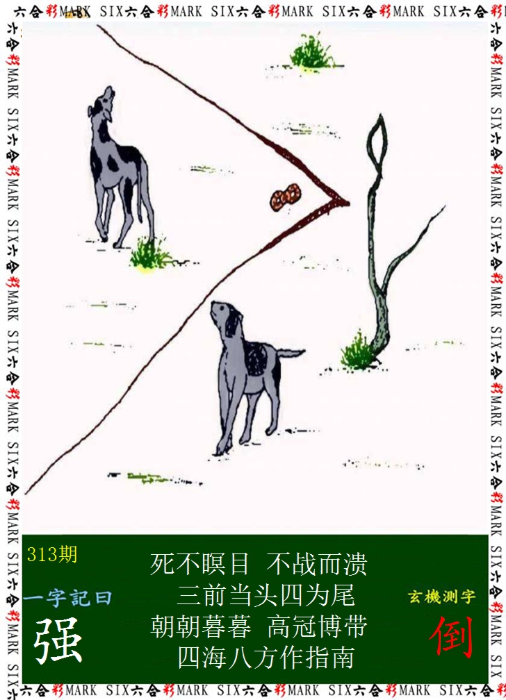 2024313期悟入其图