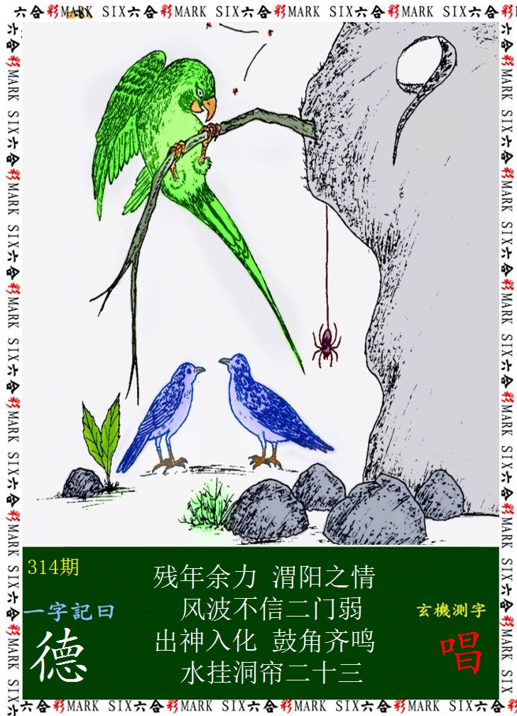 2024314期悟入其图