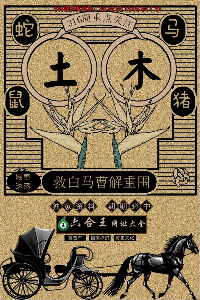 2024316期六合王马车透密