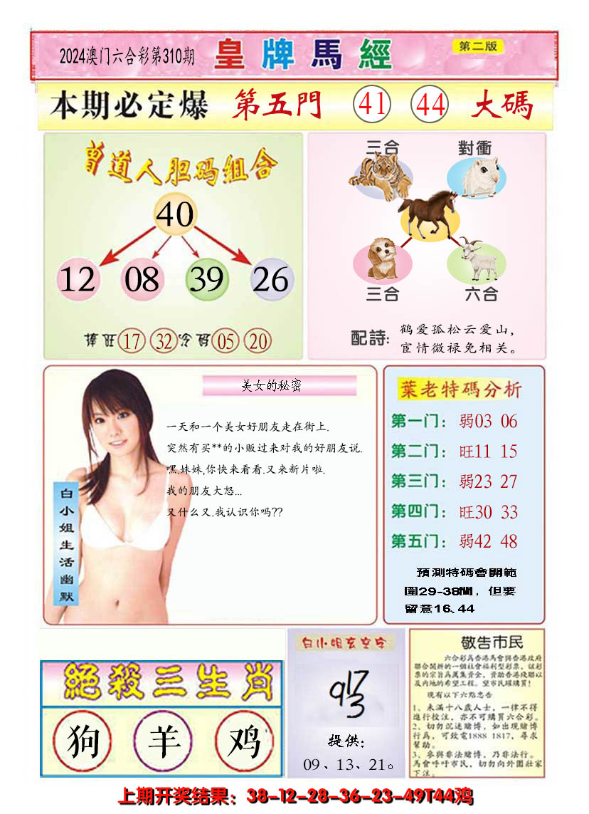 2024310期澳门皇牌马经B