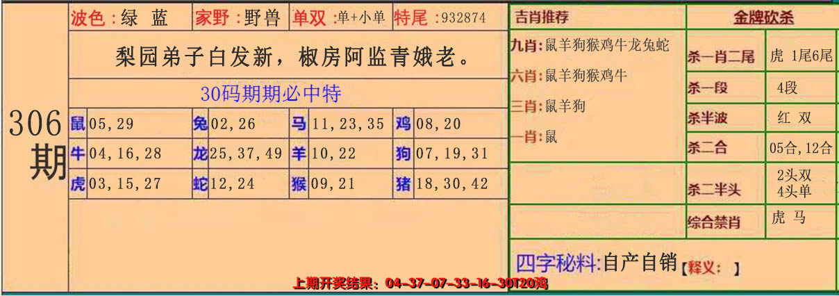 2024306期30码中特