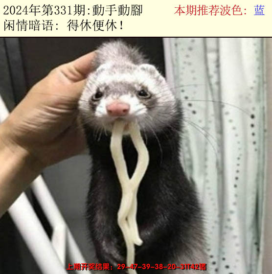 2024331期今日闲情2