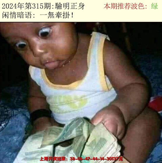 2024315期今日闲情2