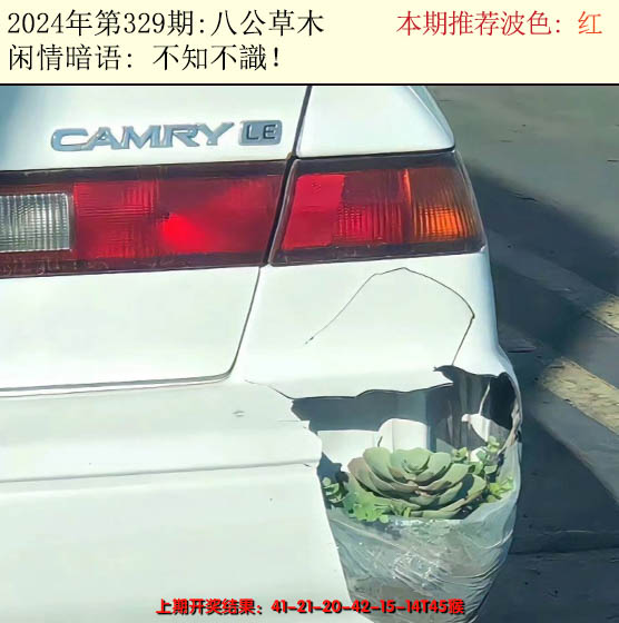 2024329期今日闲情2