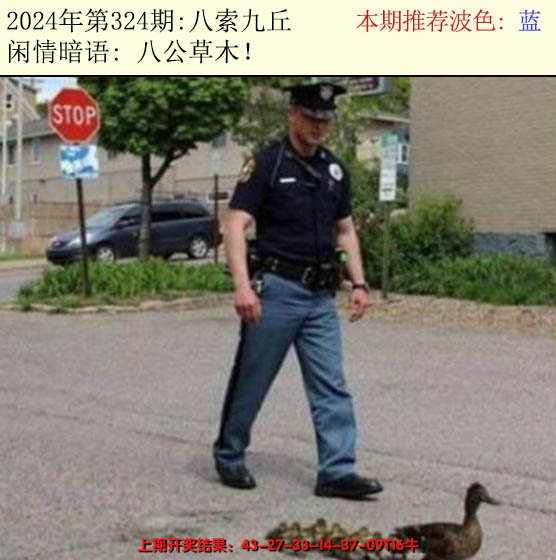 2024324期今日闲情2