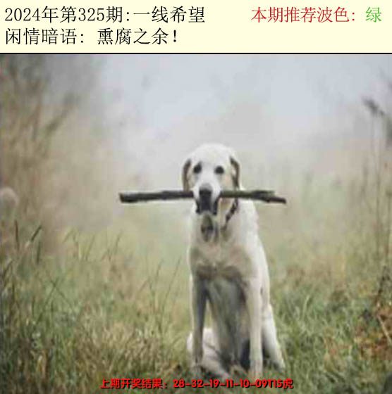 2024325期今日闲情2