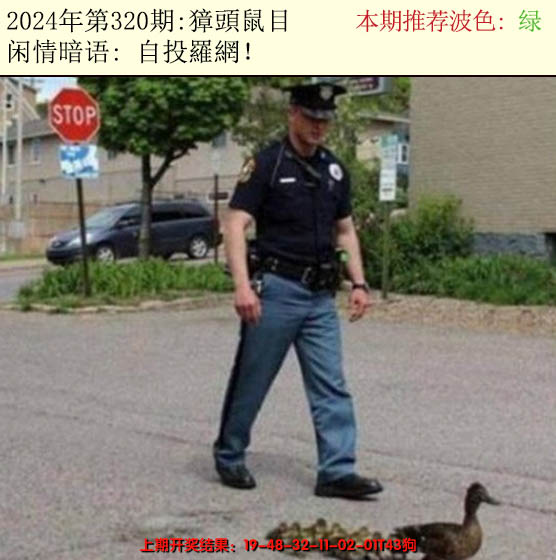 2024320期今日闲情2