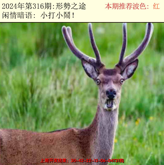 2024316期今日闲情2