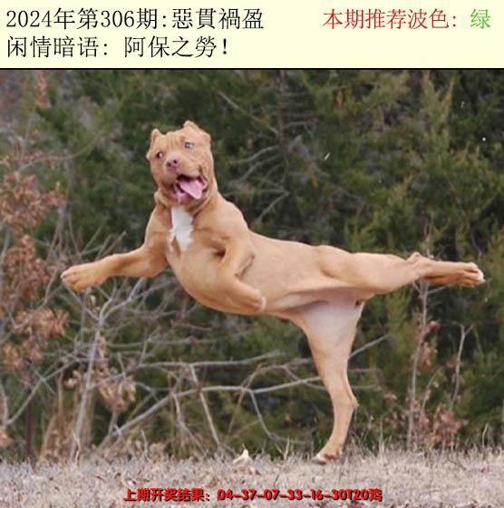2024306期今日闲情2