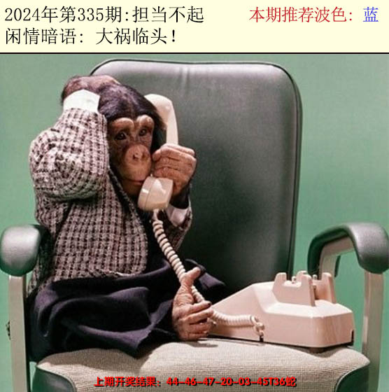 2024335期今日闲情2