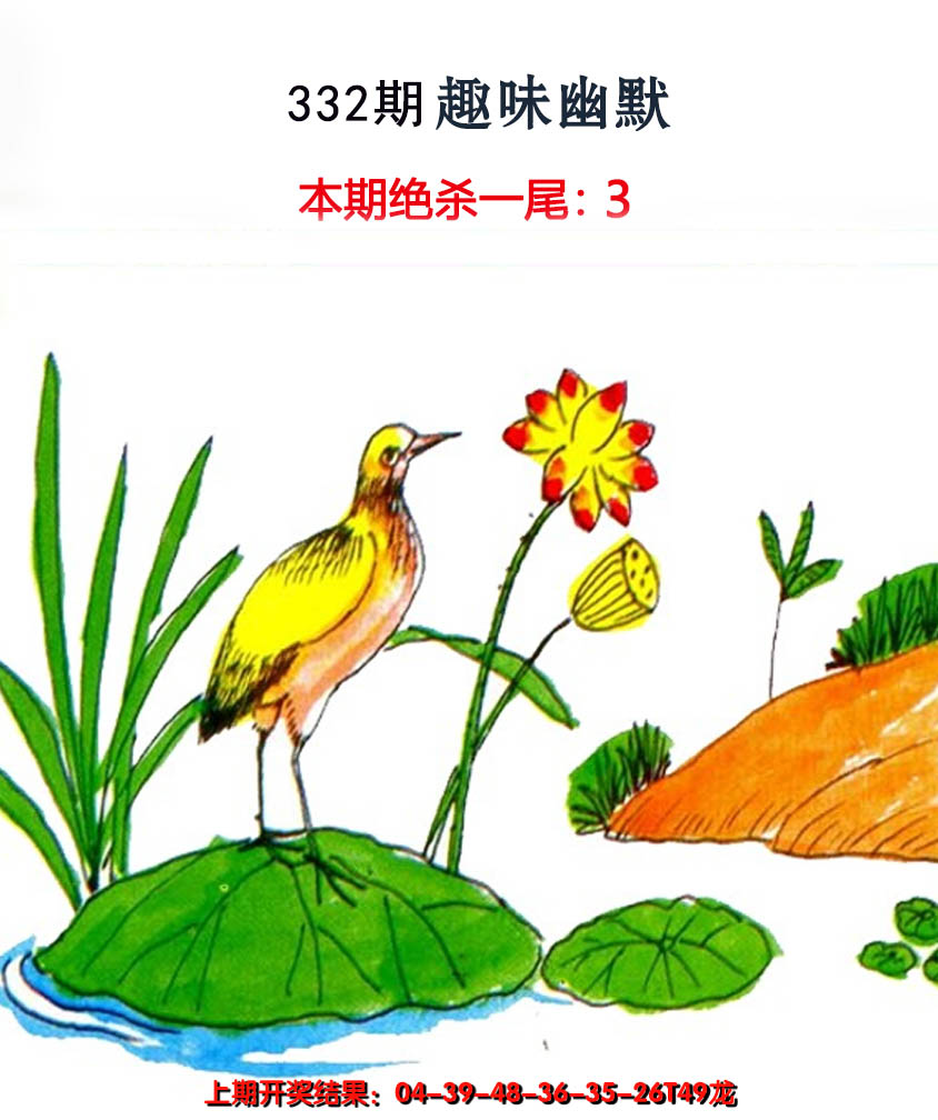 2024332期趣味幽默