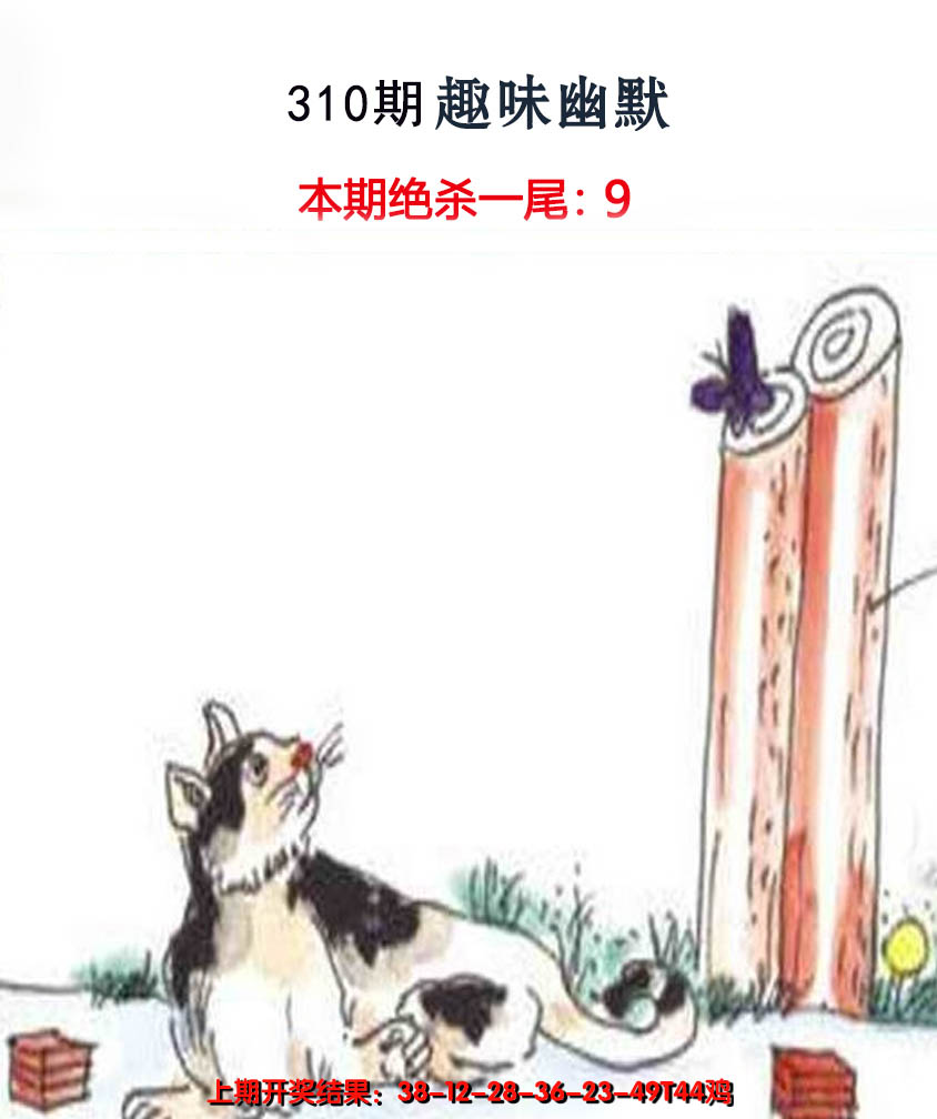 2024310期趣味幽默