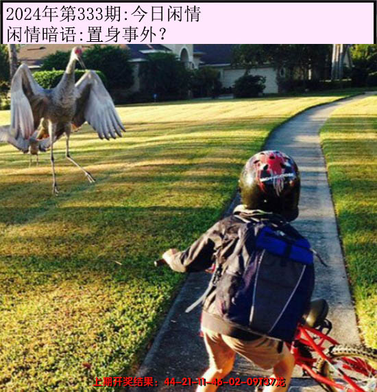 2024333期今日闲情