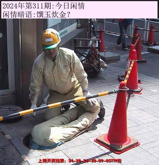 2024311期今日闲情