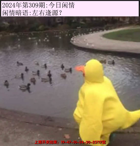 2024309期今日闲情