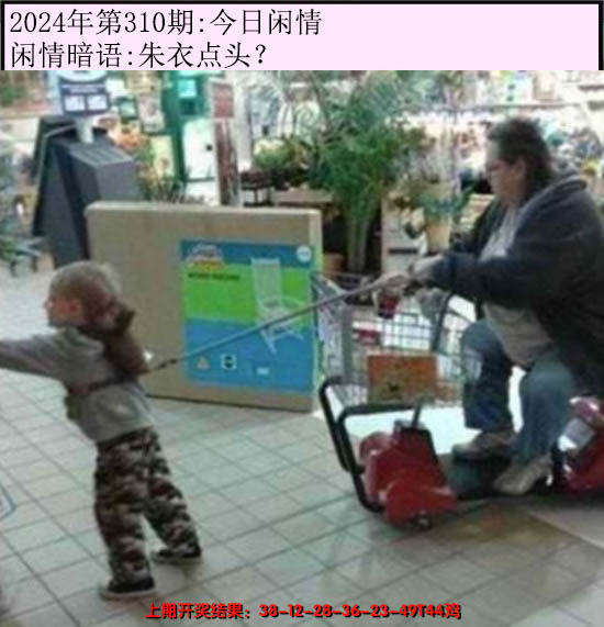2024310期今日闲情