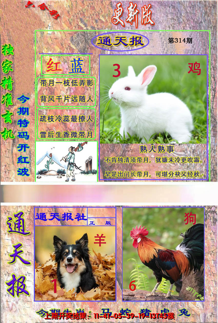2024314期新通报