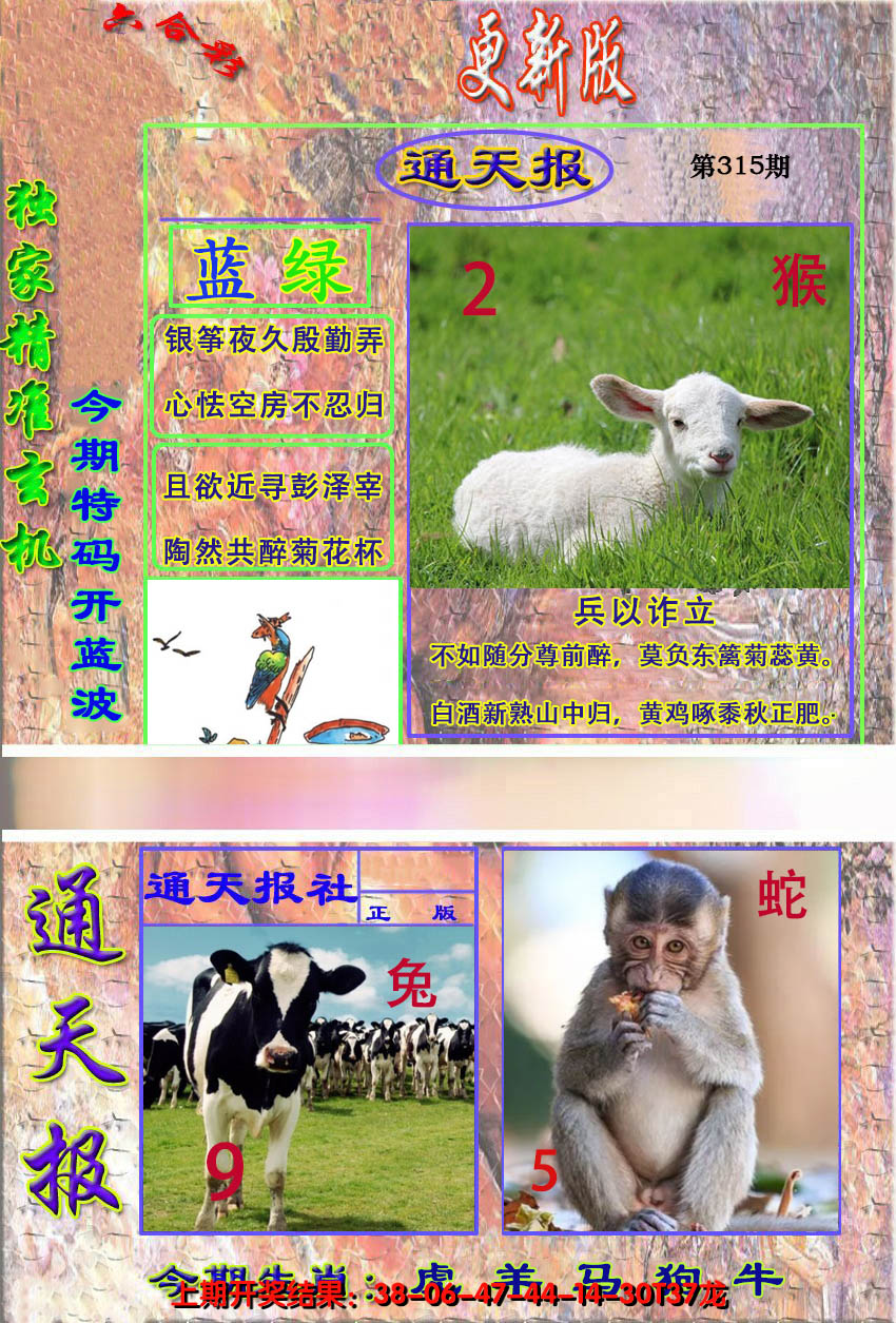 2024315期新通报