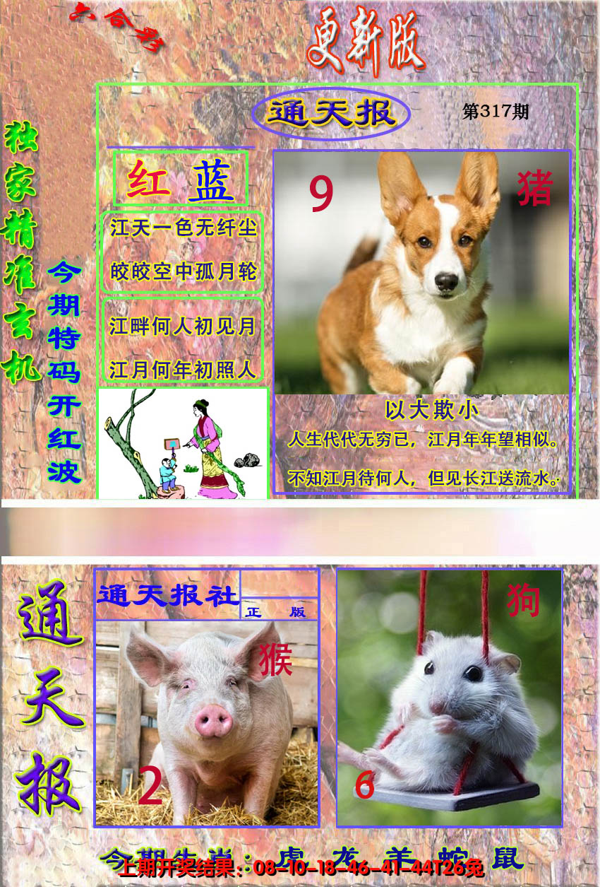 2024317期新通报