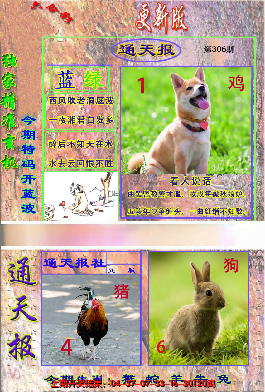 2024306期新通报