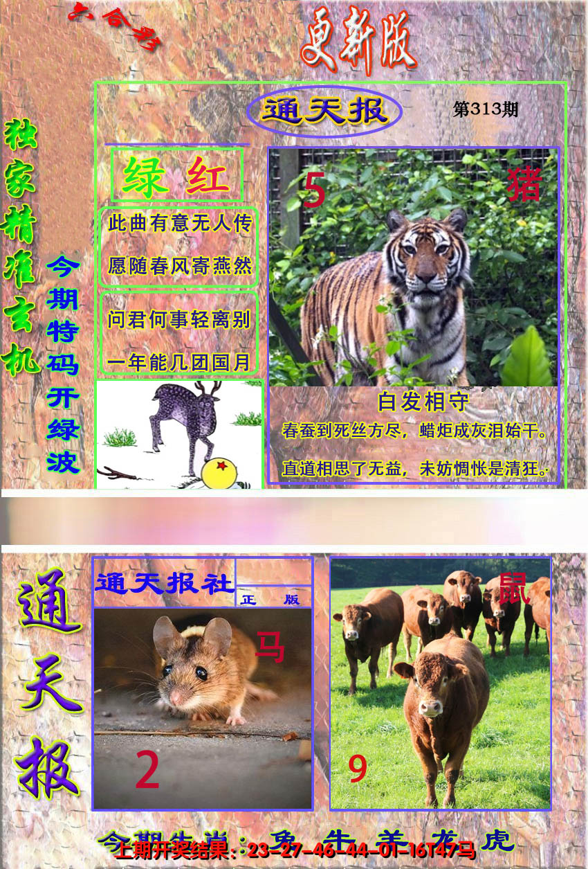 2024313期新通报