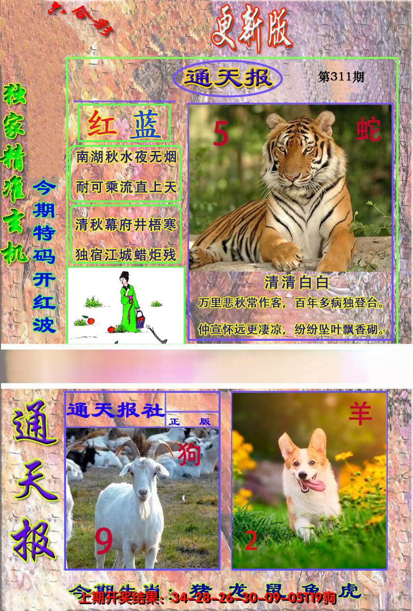 2024311期新通报
