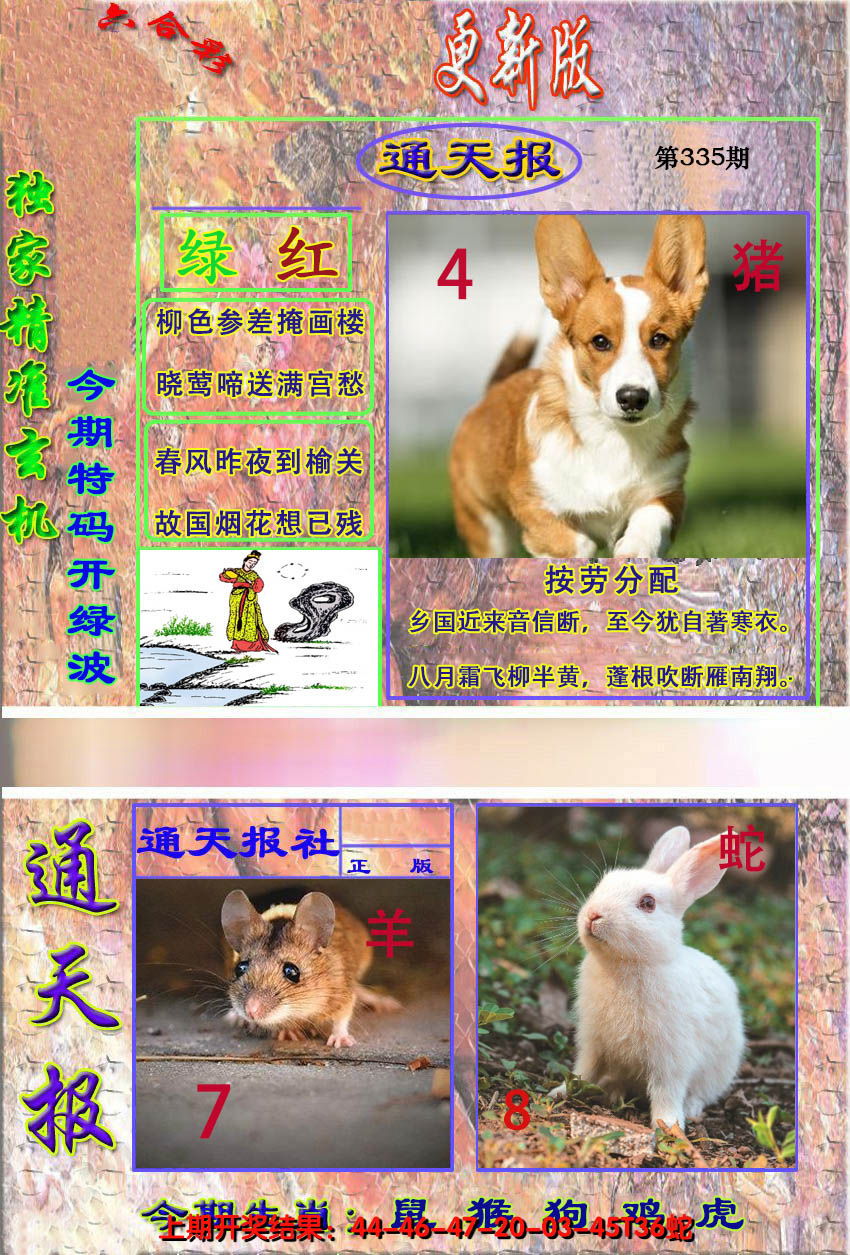 2024335期新通报