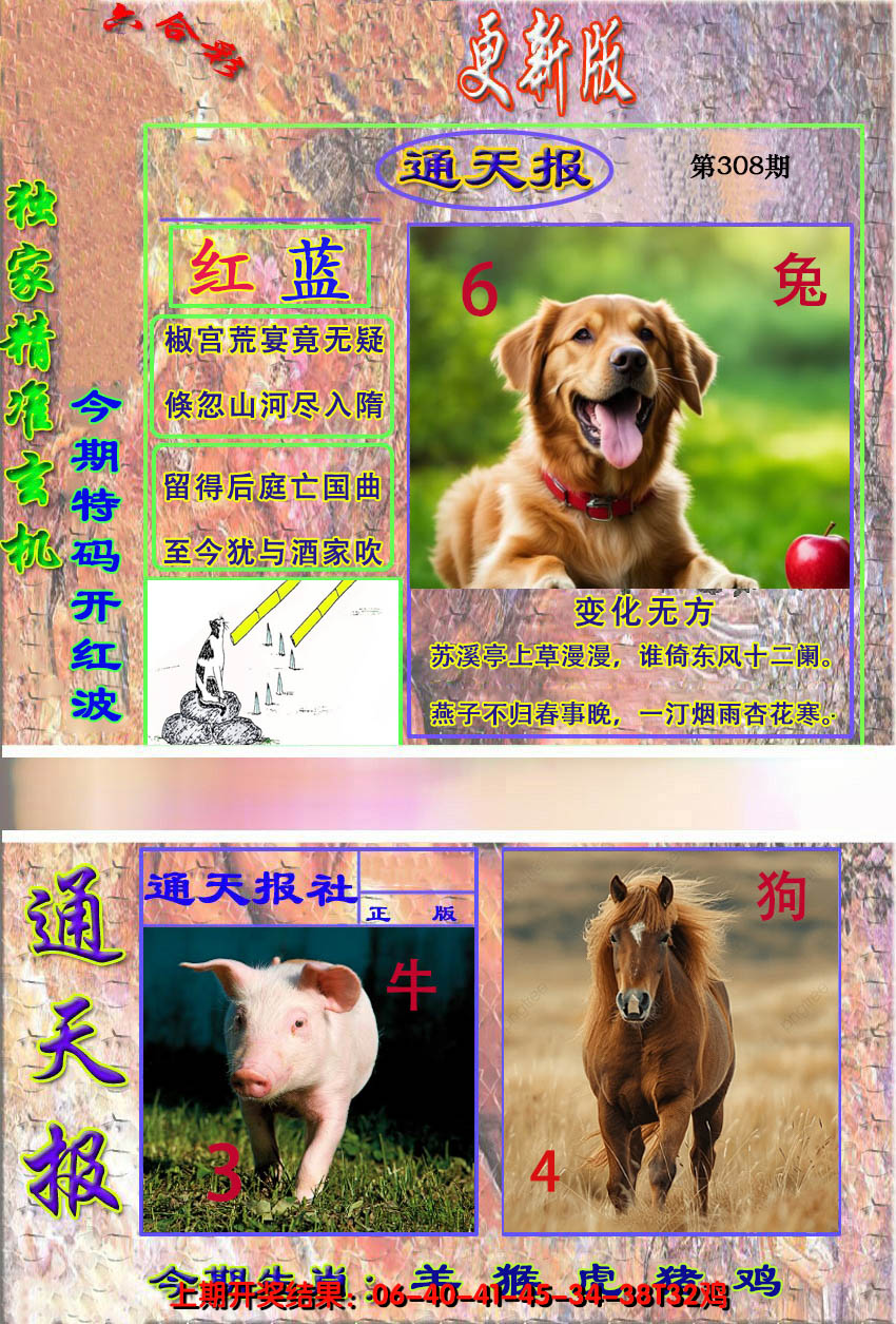 2024308期新通报