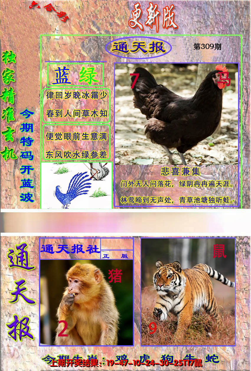 2024309期新通报