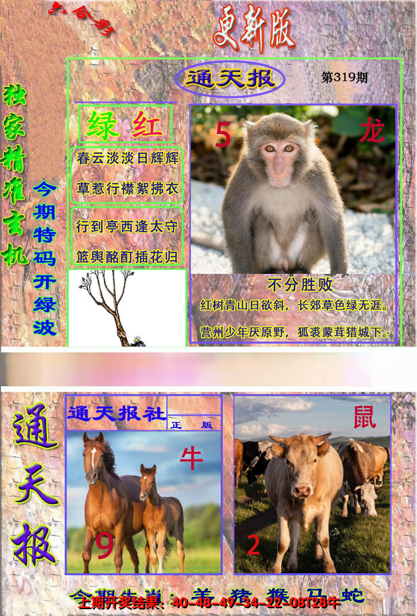 2024319期新通报